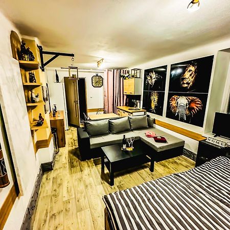 Apartman Pod Hradem Horšovský Týn 외부 사진
